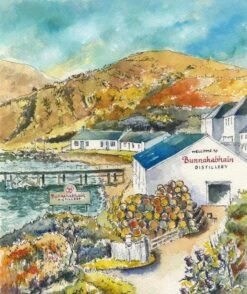 11 Jahre Bunnahabhain 2009/2020 Finest Whisky Berlin Batch 6 Islay Single Malt Scotch Whisky