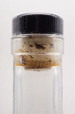 Brimstone -Jura Verkaufsgeschäft dsc09350