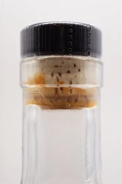 Texas Single Malt Classic Edition -Jura Verkaufsgeschäft dsc09355